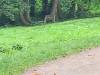 IMG20251001103212-Copy