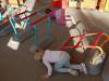 IMG20251002090022-Copy