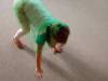 IMG20251003083504-Copy