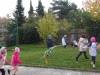 DSC02950