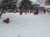 IMG-20250213-WA0006