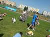 IMG_20260527_091355-Copy
