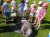 IMG_20260527_092115-Copy