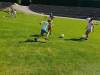 IMG_20260527_095230-Copy