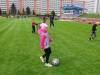 DSC01953