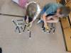 IMG_20260615_093454-Copy