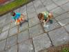 IMG20250910101948-Copy