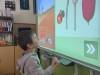 IMG_2357-Copy