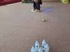 IMG-20240502-WA0020