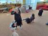IMG-20240502-WA0037