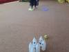 IMG-20240502-WA0053