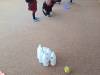IMG-20240502-WA0055