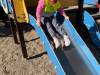 IMG-20260924-WA0006