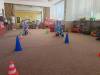 IMG_2685-Copy