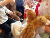 IMG20250409093138-Copy