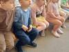 IMG_20250409_123858-Copy
