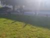 IMG_20261006_095718-Copy