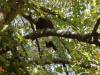 IMG_20261006_100645-Copy