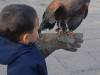 IMG_20261006_101203-Copy