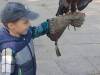IMG_20261006_101329-Copy