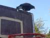 IMG_20261006_101337-Copy