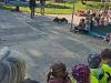 IMG_20261006_103329-Copy