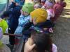 IMG_20261006_122928-Copy
