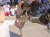 IMG_20261006_124103-Copy