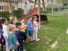 IMG_3172-Copy