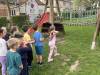 IMG_3203-Copy