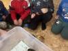 IMG_3220-Copy