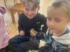 IMG_3224-Copy