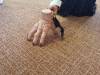 IMG-20231101-WA0039