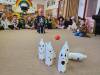 20231031_084213-Copy