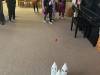 IMG_2355-Copy