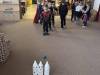 IMG_2356-Copy