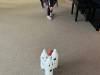IMG_2360-Copy