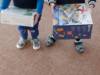 IMG-20221228-WA0015