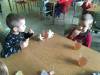 IMG_2854-Copy