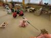 IMG_1961-Copy