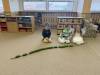 IMG_1965-Copy