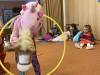 IMG_2278-Copy