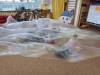 IMG-20240214-WA0078