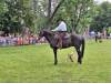 IMG-20240612-WA0051