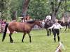 IMG-20240612-WA0055