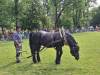 IMG-20240612-WA0105