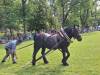 IMG-20240612-WA0106