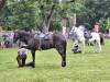 IMG-20240612-WA0111