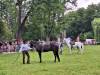 IMG-20240612-WA0112