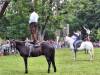 IMG-20240612-WA0113